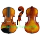 Alfred Stingl by Hofner H5G Violin