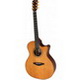 Veelah V56-GACE Acoustic Guitar (w/Preamp)
