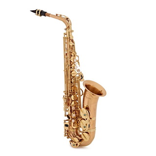 Yanagisawa A-WO2 Alto Saxophone (Clear-lacquered)