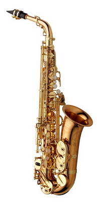 Yanagisawa A-WO20GP Alto Saxophone (Gold-plated)