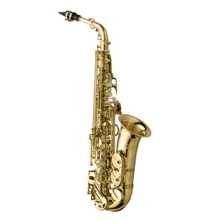 Yanagisawa A-WO37GP Alto Saxophone (Gold-plated)