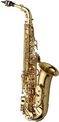 Yanagisawa A-WO10 Alto Saxophone (Clear-lacquered)