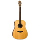 Veelah V3-D Acoustic Guitar